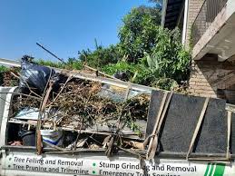 Professional Junk Removal in Winters, CA